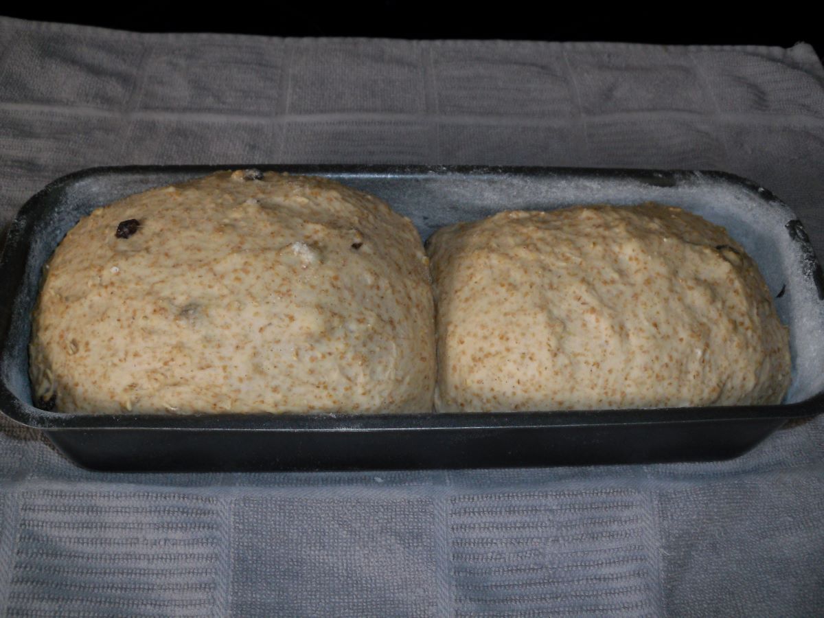 Name:  Bread.JPG
Views: 126
Size:  145.0 KB