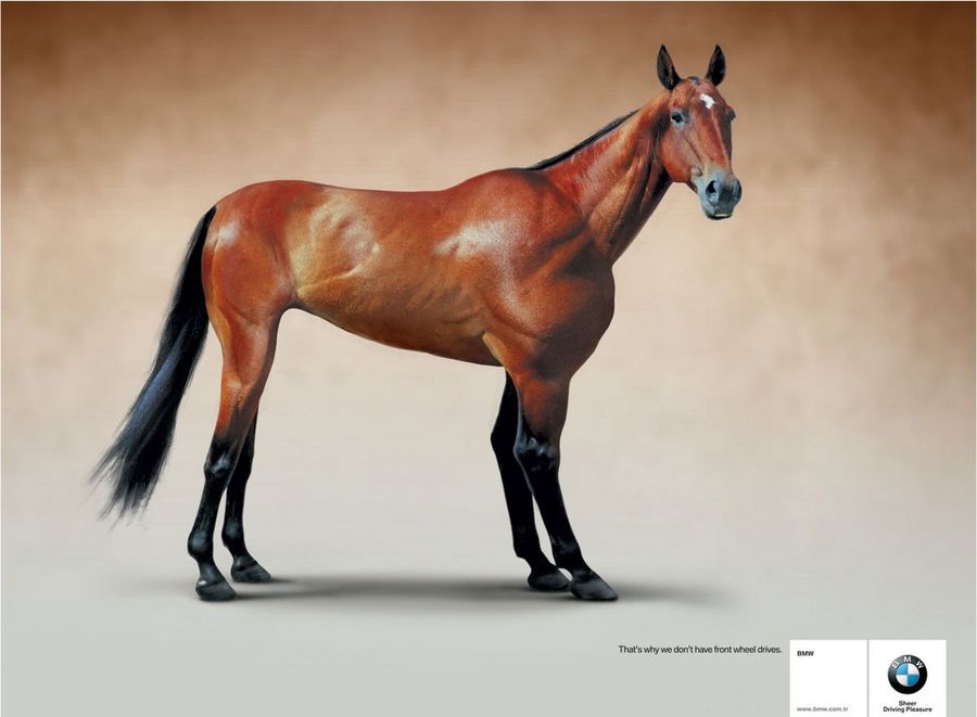 Name:  horse.jpg
Views: 5067
Size:  47.7 KB