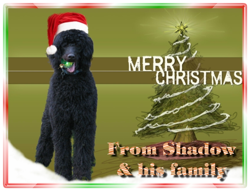 Name:  shadow-christmas-card-3.jpg
Views: 35174
Size:  291.5 KB