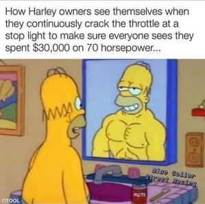 Name:  homer.jpeg
Views: 1471
Size:  35.7 KB