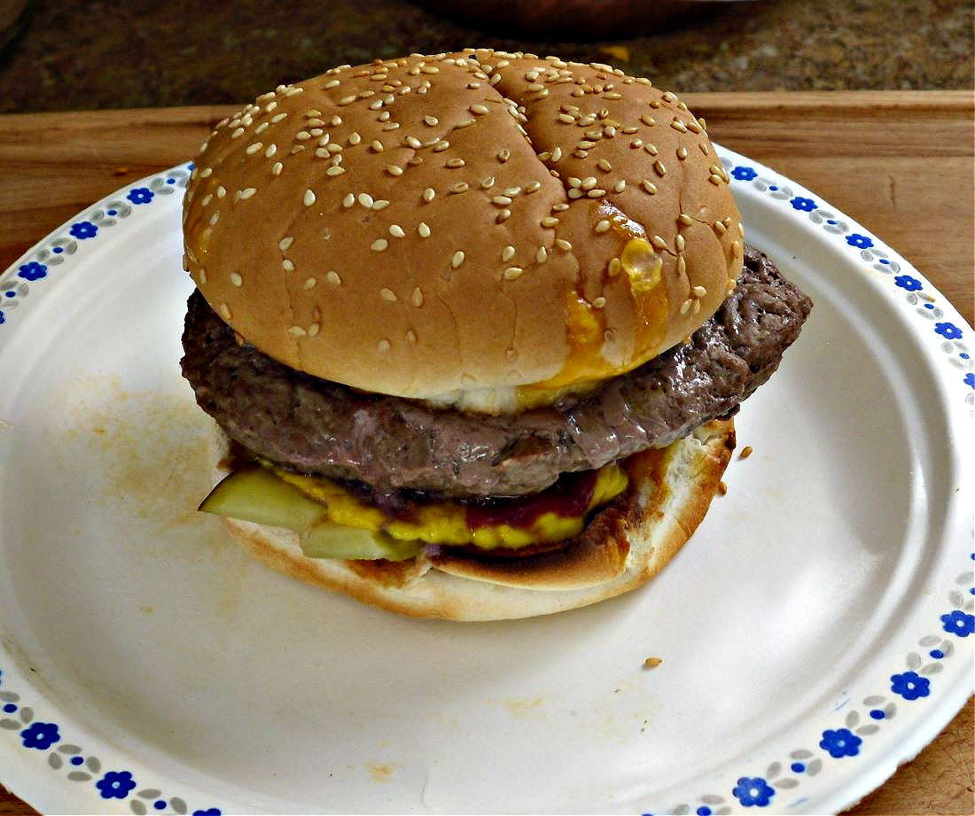 Name:  Burger..jpg
Views: 135
Size:  348.9 KB