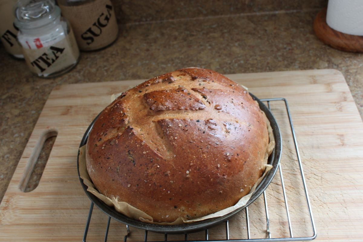 Name:  Olive bread 3.JPG
Views: 3174
Size:  130.0 KB