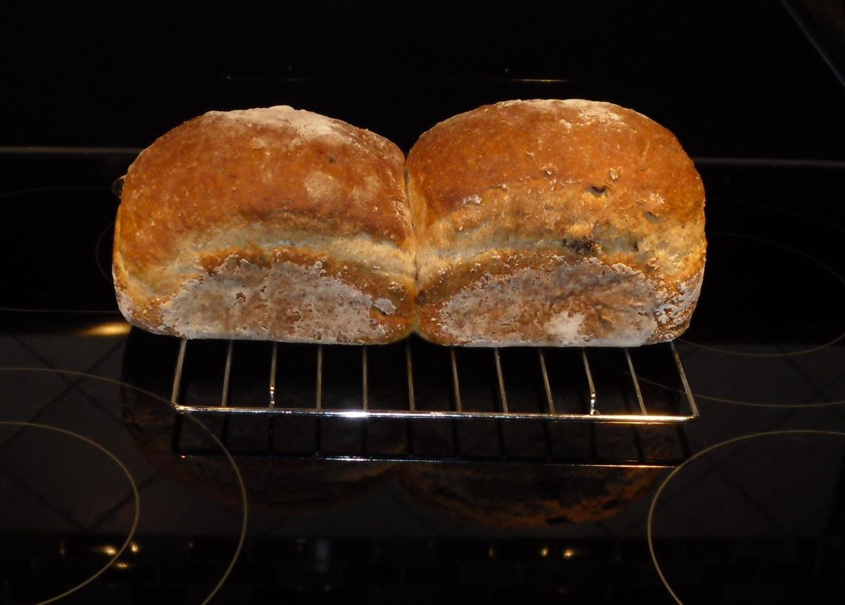 Name:  Bread..jpg
Views: 29
Size:  94.9 KB