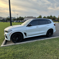 sharkymcpeterson's Avatar